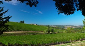 Ruffino Tenuta Poggio Casciano