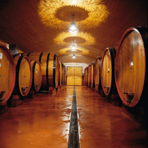 La bottata del consorzio abruzzese Citra vini, una delle più grandi del Mezzogiorno