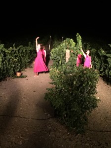 danza tra le vigne di Contessa Entellina