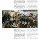 I 50 anni del vino - Anna Di Martino pg17