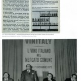 I 50 anni del vino - Anna Di Martino pg3